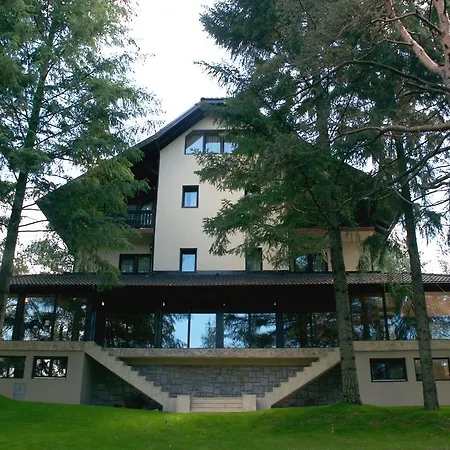 Pina * Zlatibor