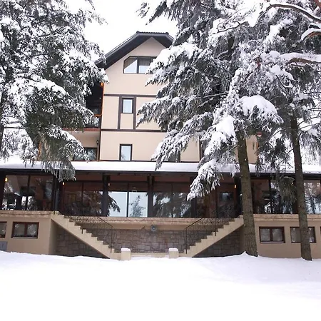Pina * Zlatibor
